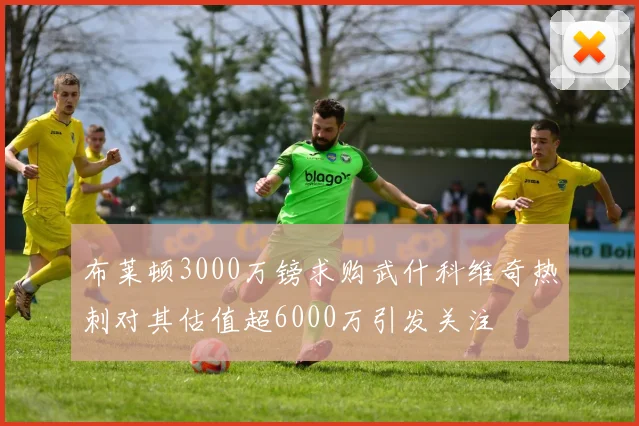 布莱顿3000万镑求购武什科维奇热刺对其估值超6000万引发关注