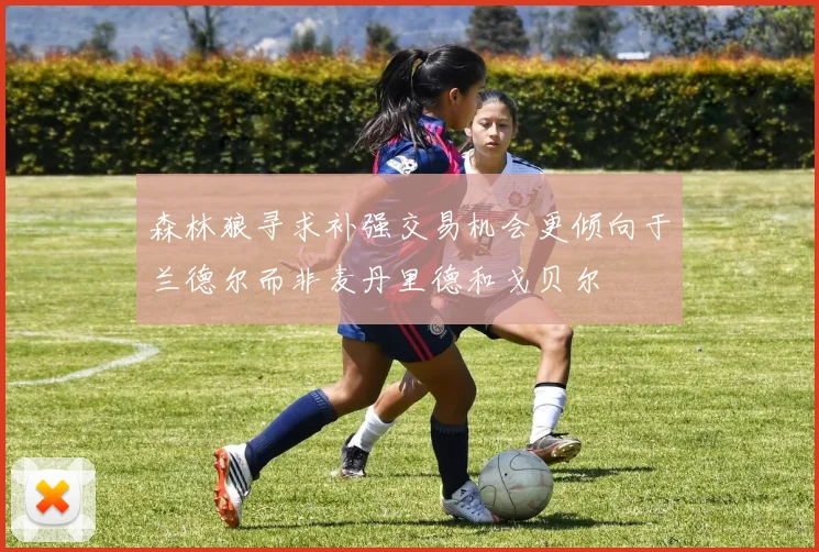 森林狼寻求补强交易机会更倾向于兰德尔而非麦丹里德和戈贝尔